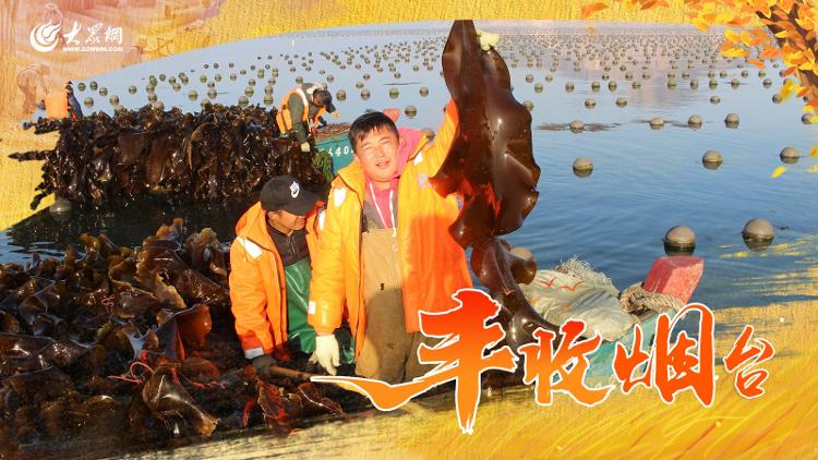博彩导航网