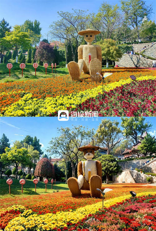 博彩导航网