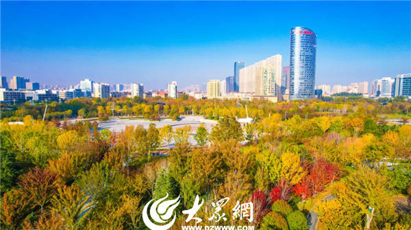 博彩导航网