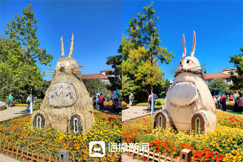 博彩导航网