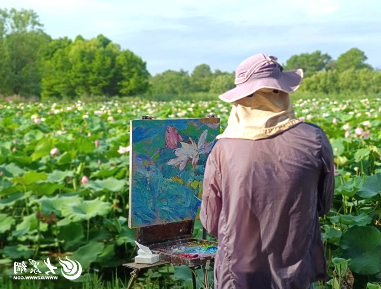 博彩导航网