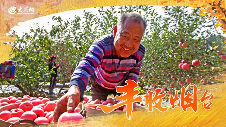 博彩导航网