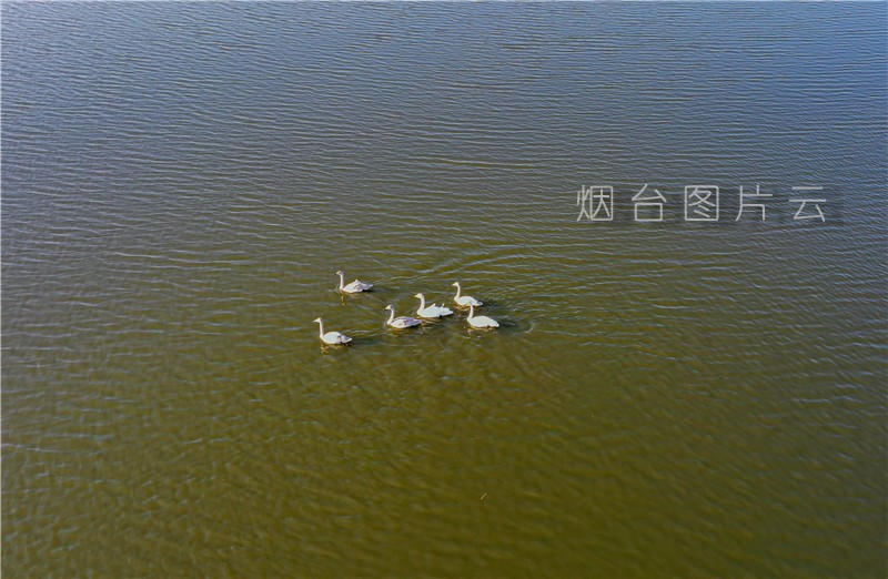 博彩导航网