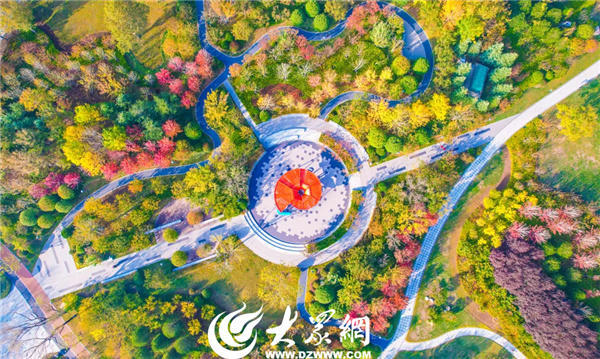 博彩导航网