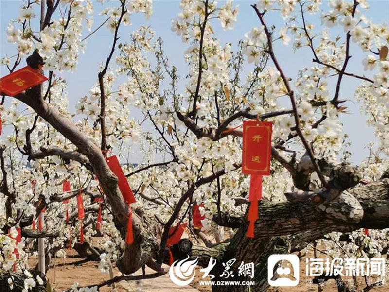 博彩导航网