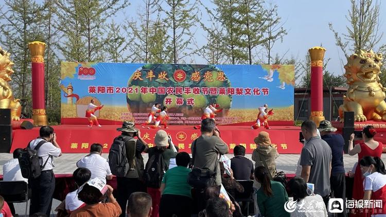 博彩导航网