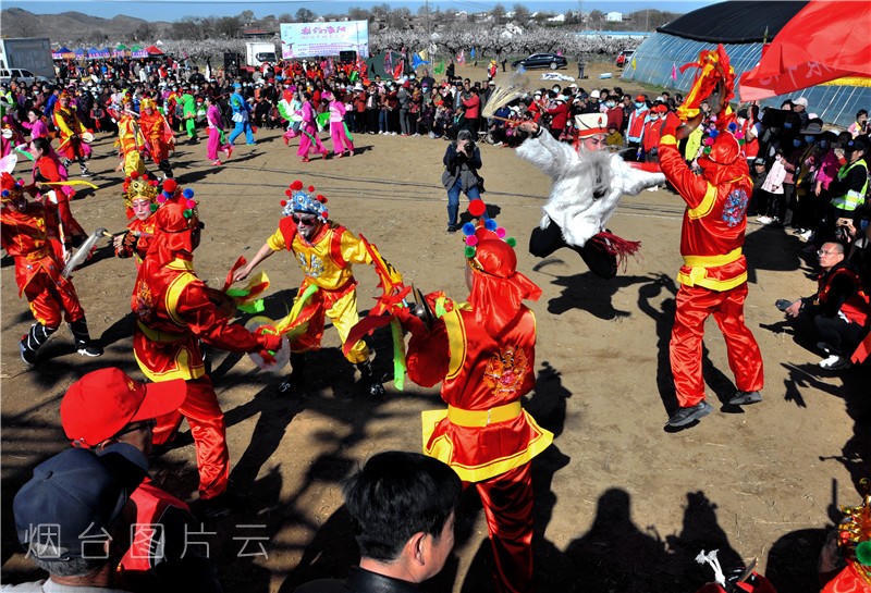 博彩导航网