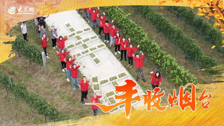 博彩导航网