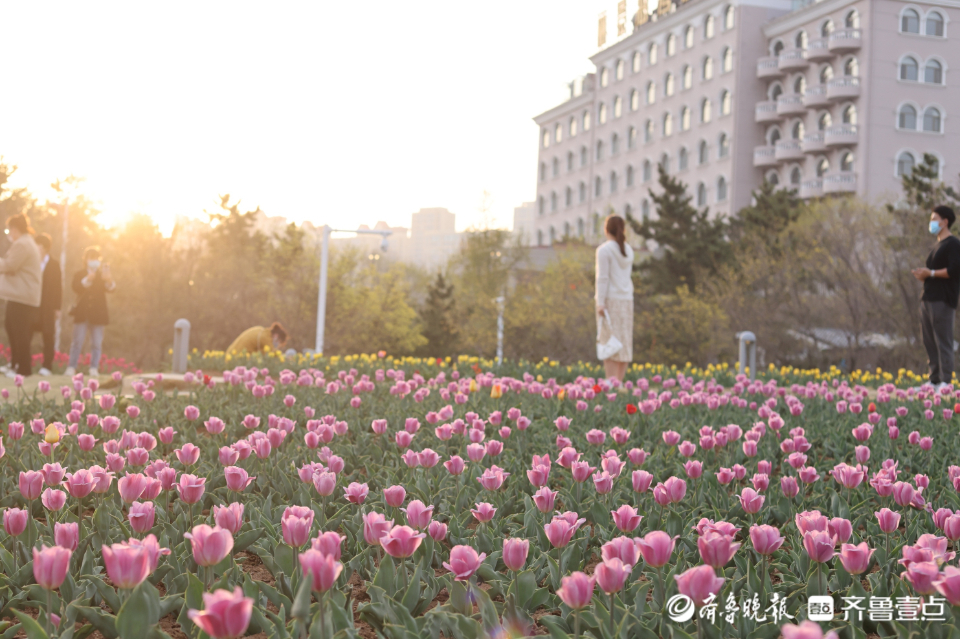博彩导航网