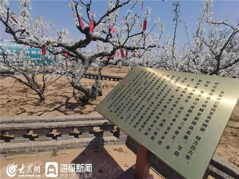 博彩导航网