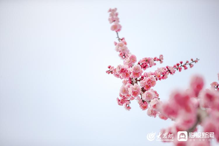 博彩导航网