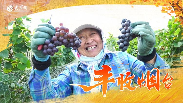 博彩导航网