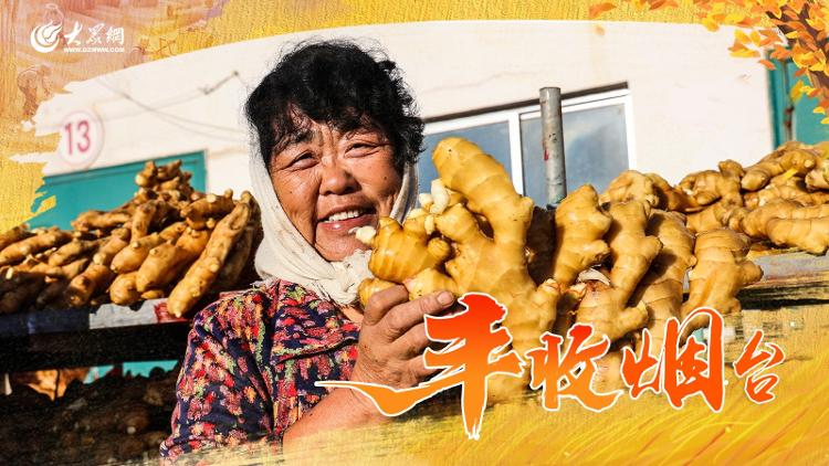 博彩导航网