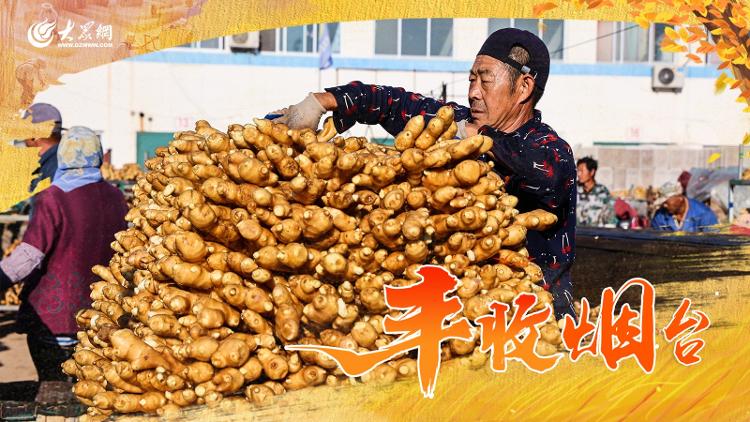 博彩导航网
