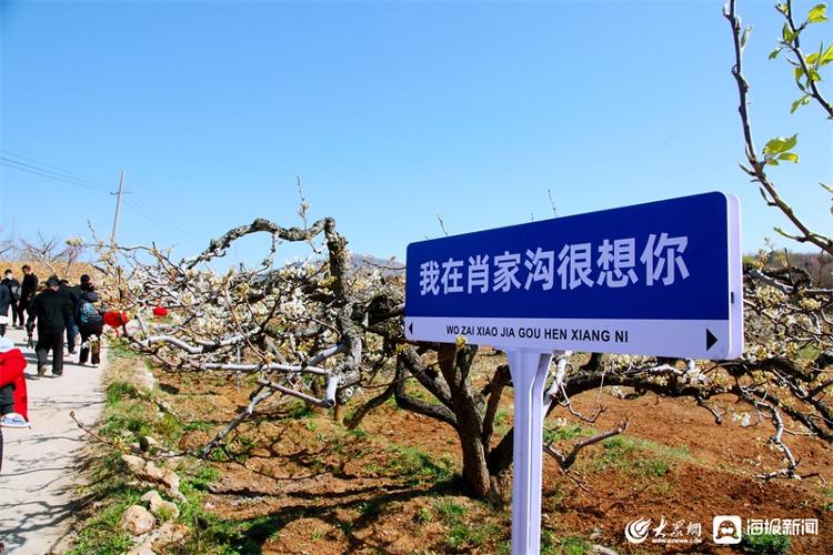 博彩导航网