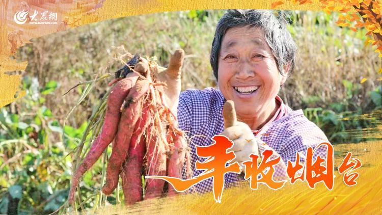 博彩导航网