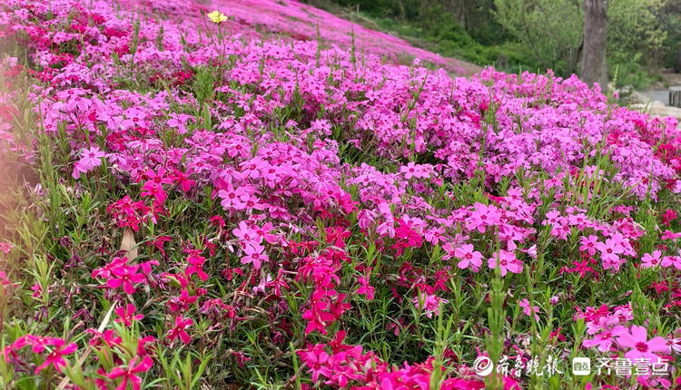 博彩导航网