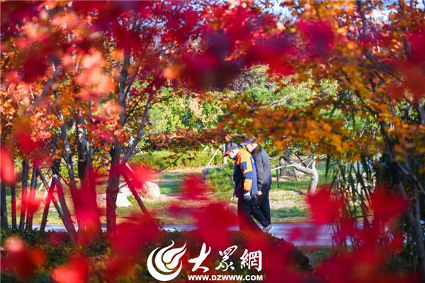 博彩导航网