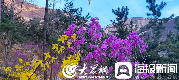 博彩导航网
