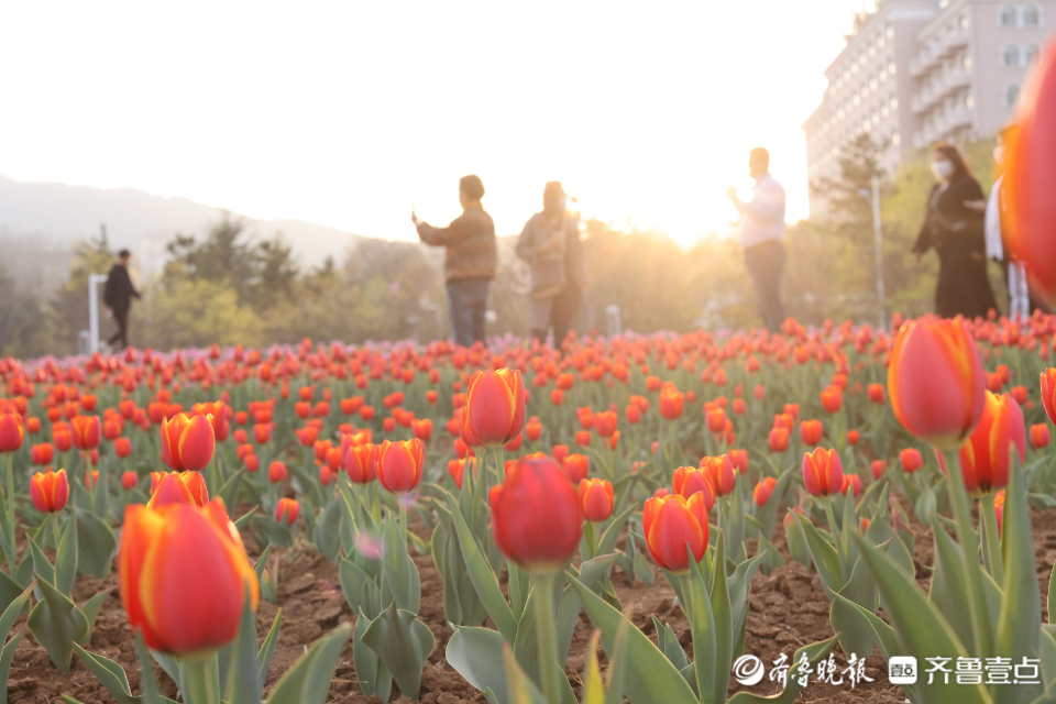 博彩导航网
