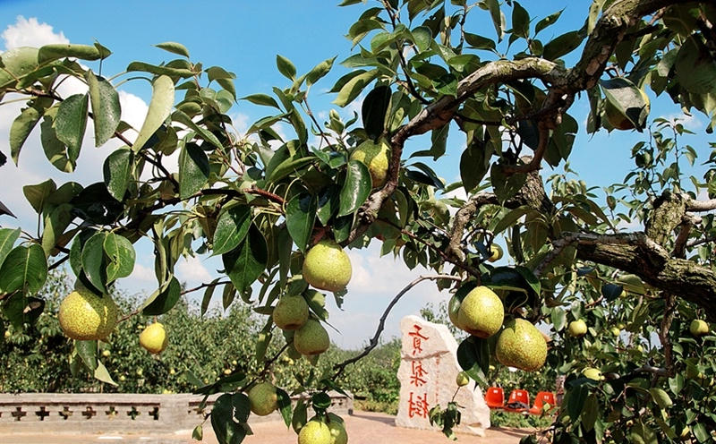 博彩导航网