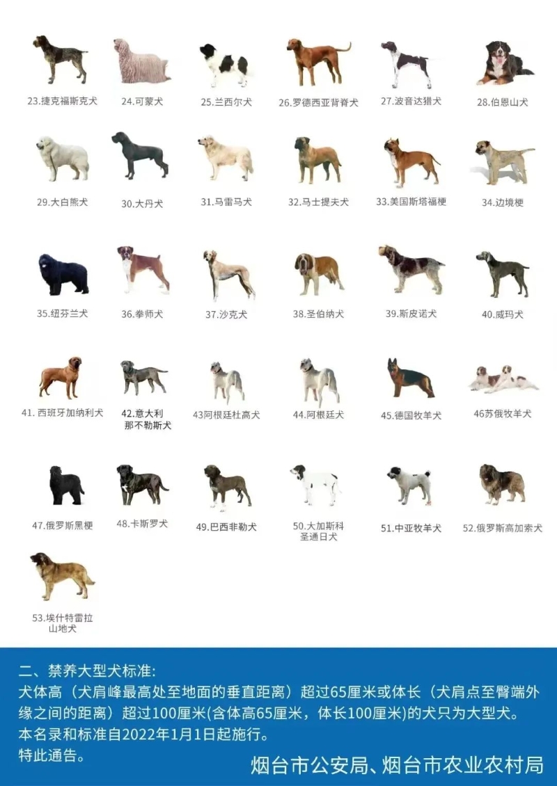 2.jpeg 博彩导航网