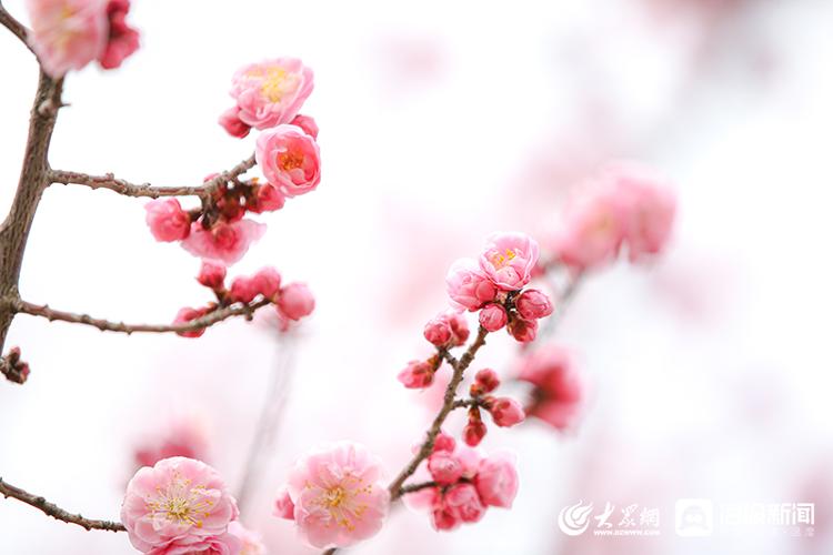 博彩导航网