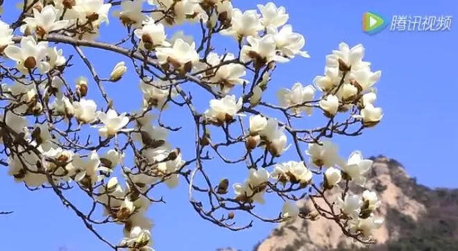 博彩导航网
