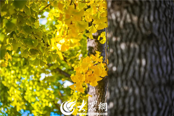 博彩导航网