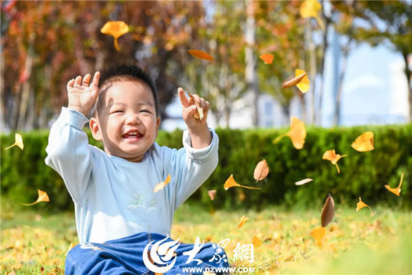 博彩导航网
