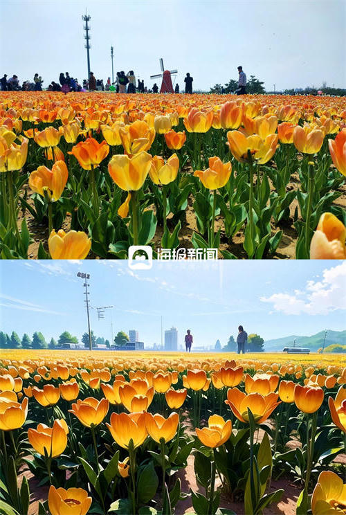 博彩导航网