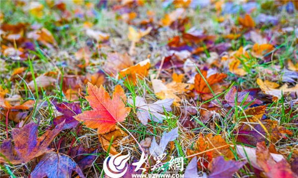 博彩导航网