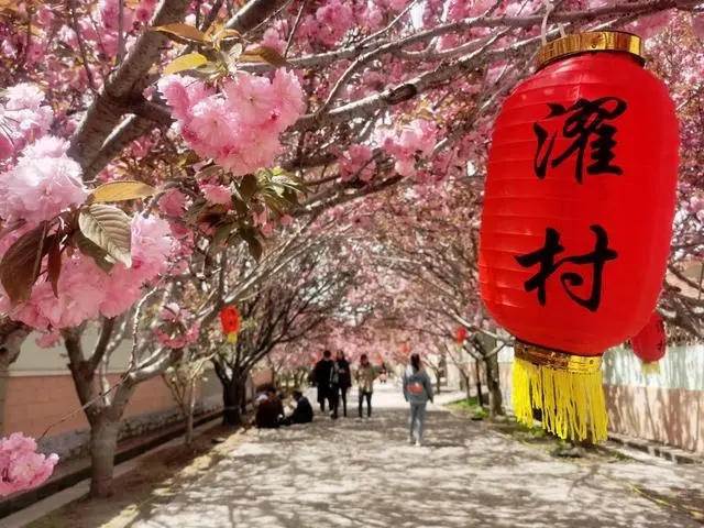 博彩导航网