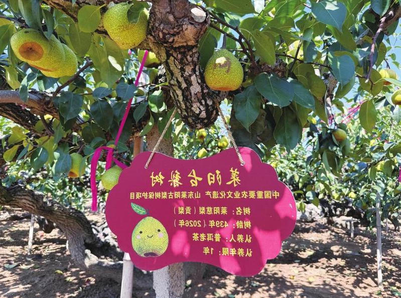 博彩导航网