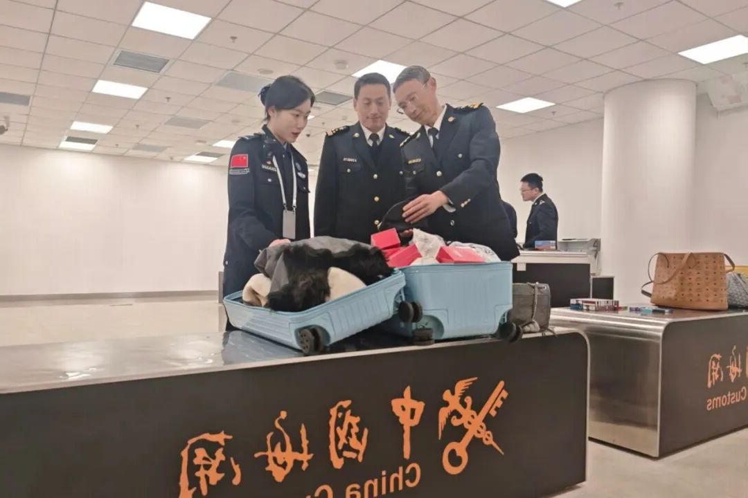博彩导航网
