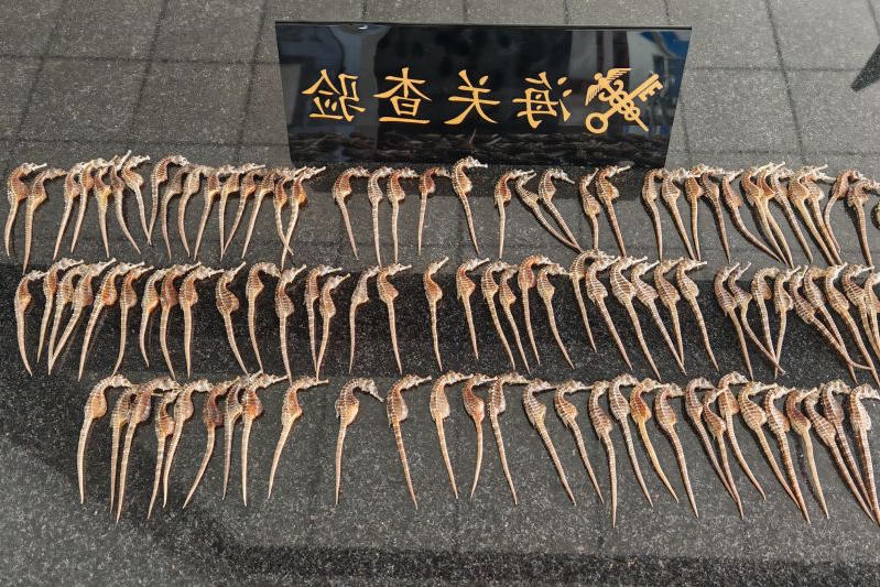 博彩导航网