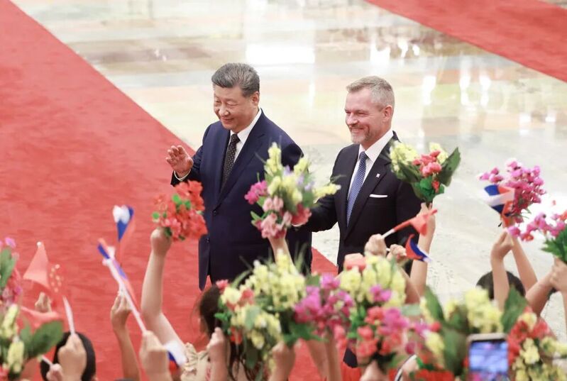 博彩导航网