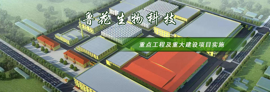 博彩导航网