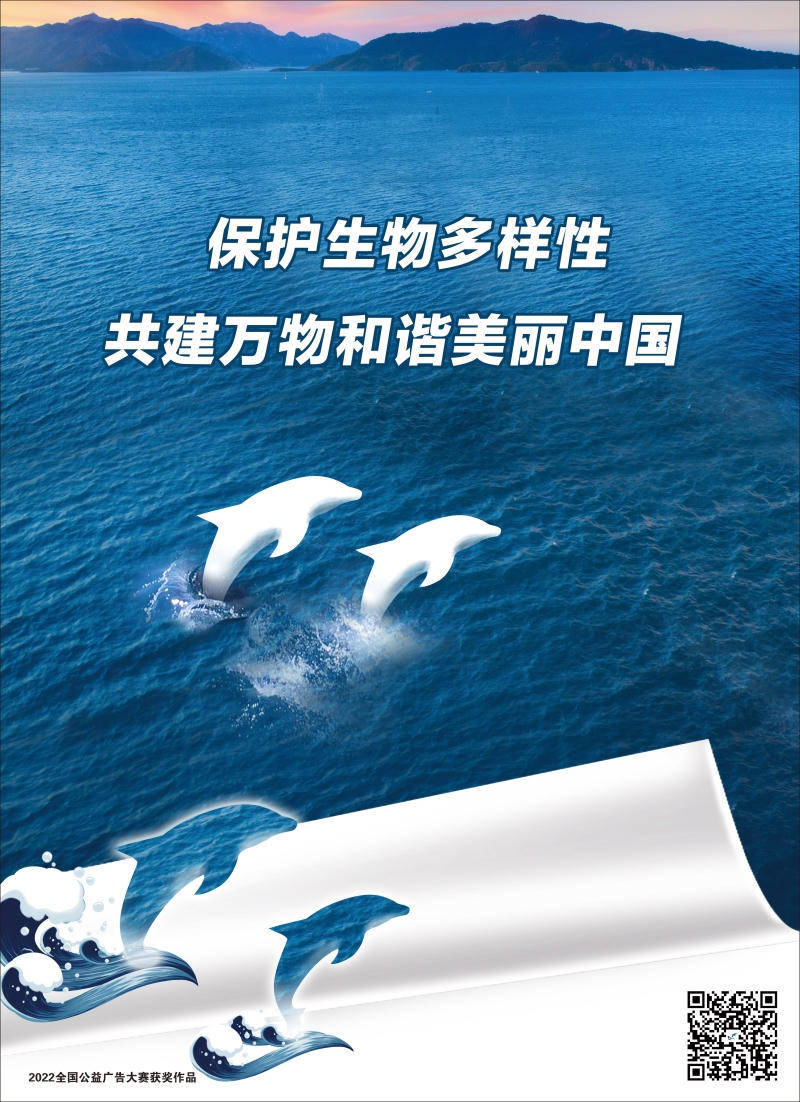 博彩导航网