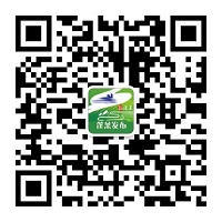 博彩导航网