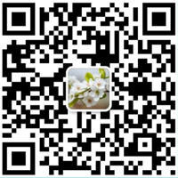 博彩导航网