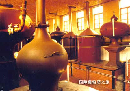 博彩导航网