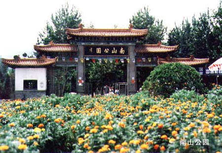 博彩导航网