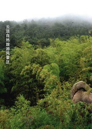 博彩导航网