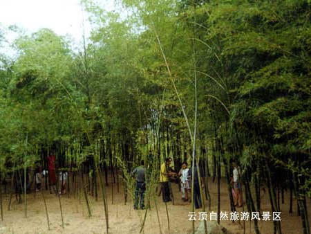 博彩导航网
