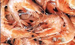 博彩导航网
