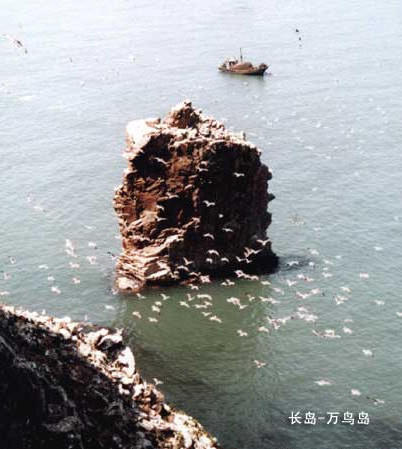 博彩导航网