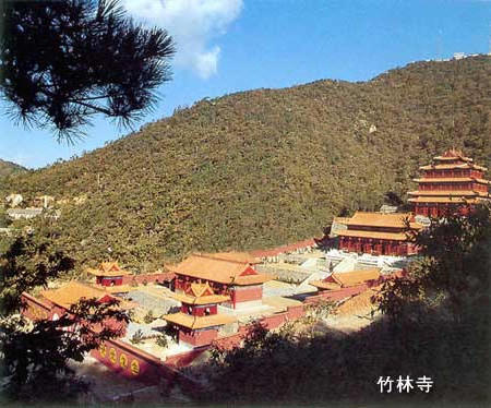 博彩导航网
