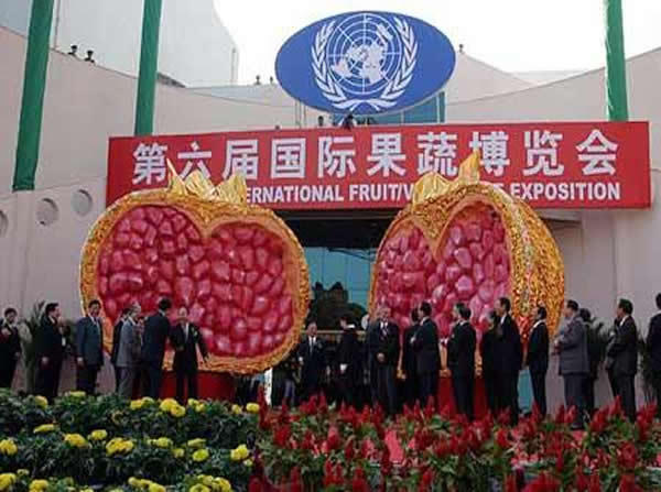 博彩导航网